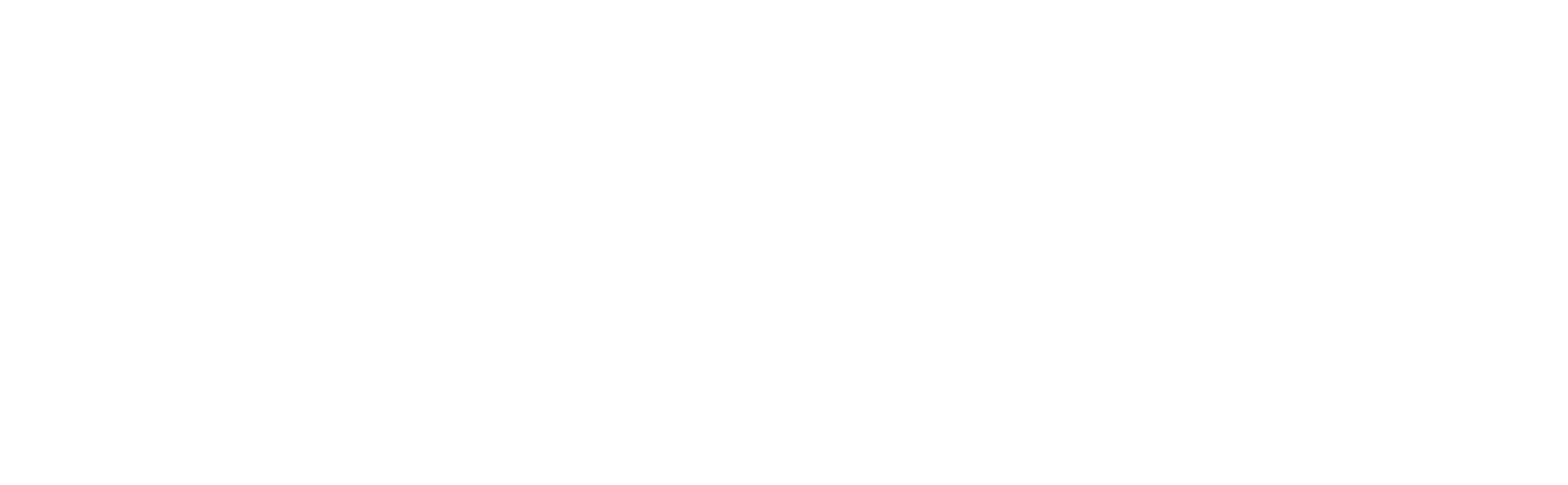 Logo_BestWipes logo