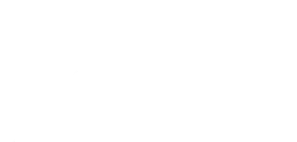 PLACEID_LOGO_v2_neg_CMYK_weiß