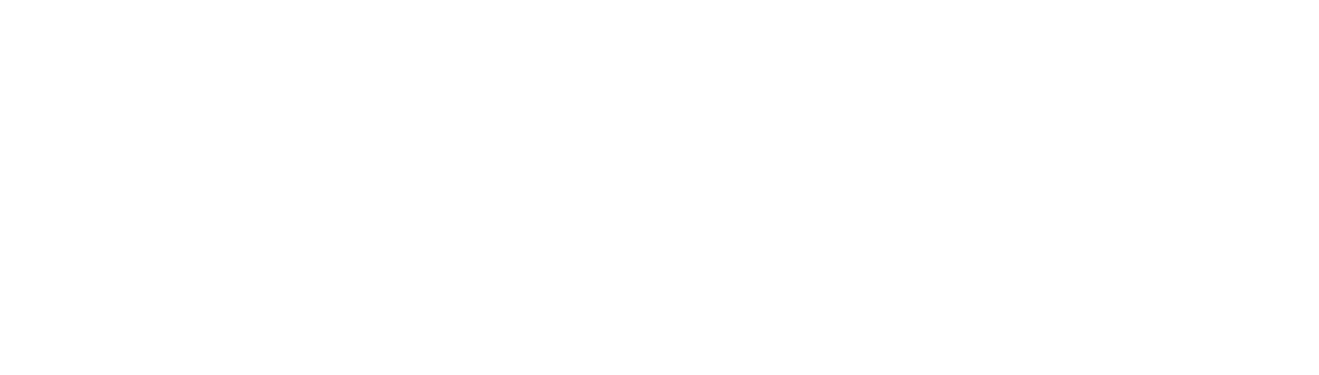 holdstrong_White logo_for Digital